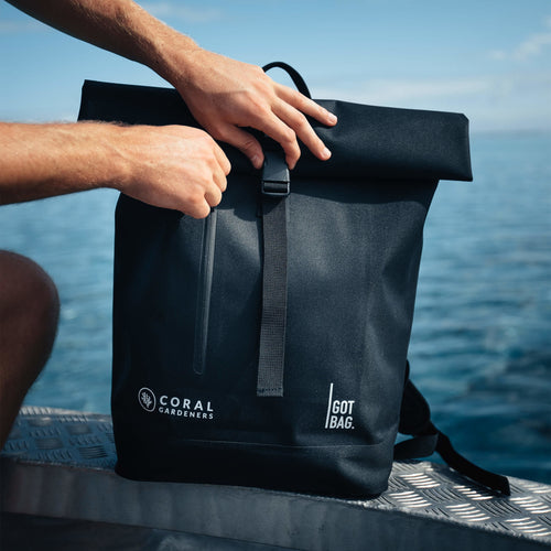 GOT BAG - Rolltop Lite