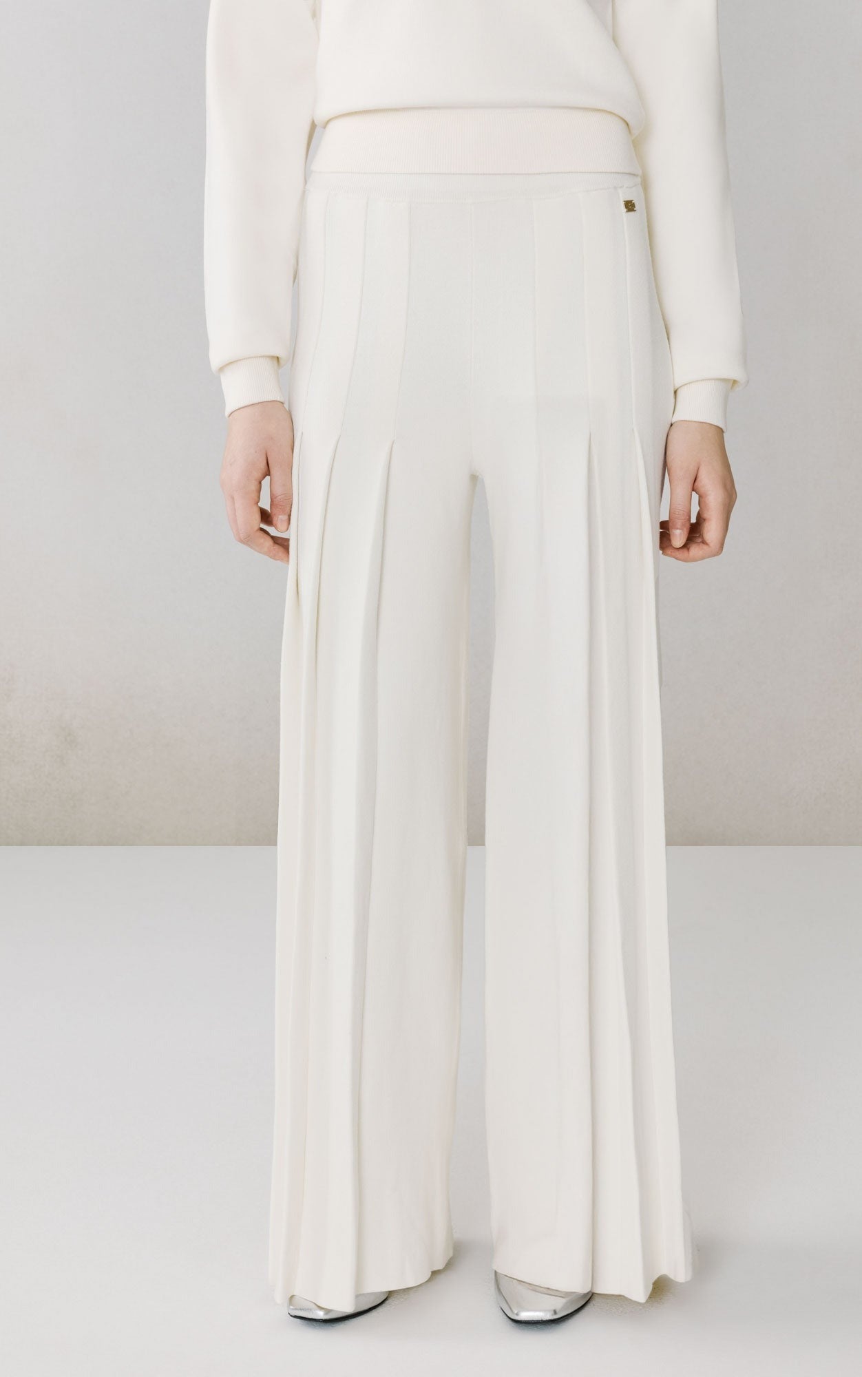 SOIA&KYO DARA - Pleated Wide Leg Pant - Boutique Bubbles