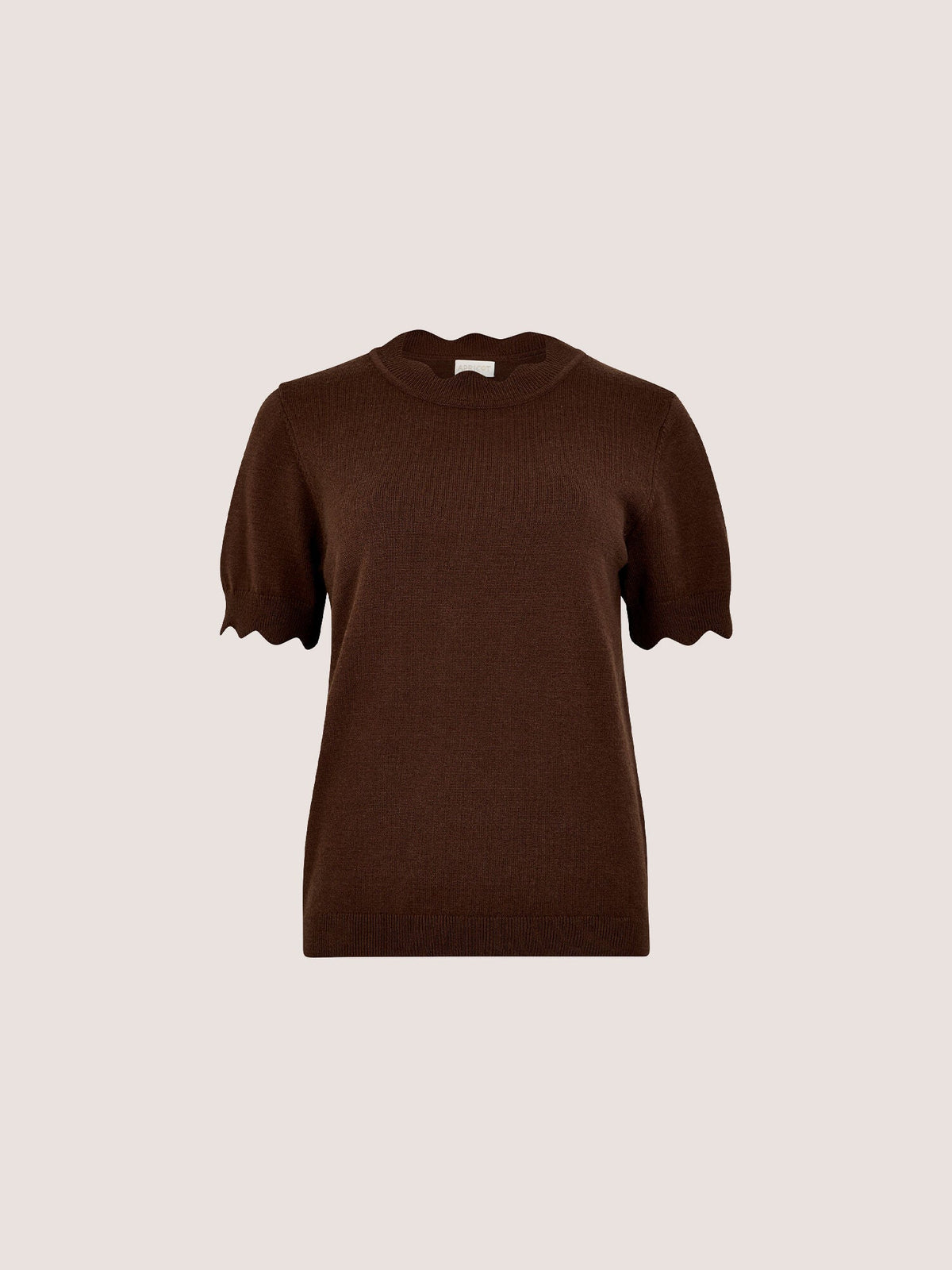 APRICOT - Scallop Neck & Sleeve Knit Tee - X246458 - Boutique Bubbles