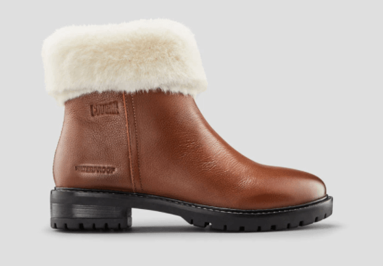 COUGAR SHOES KENDAL - Leather Ankle Boot - Boutique Bubbles